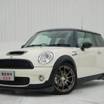 1020 mini